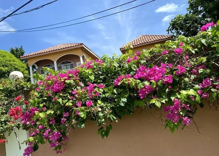 Yanceylargo Estate - Newly Renovated 7br Beautiful Two-story W Gorgeous Mountain View Villa Montego Bay