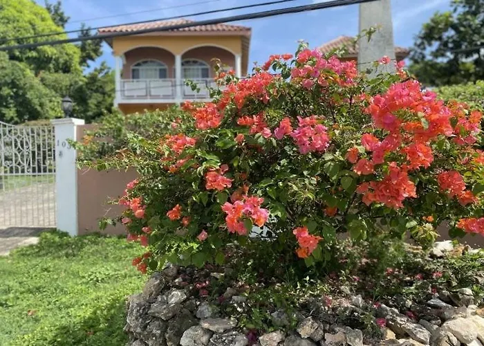 Yanceylargo Estate - Newly Renovated 7br Beautiful Two-story W Gorgeous Mountain View *