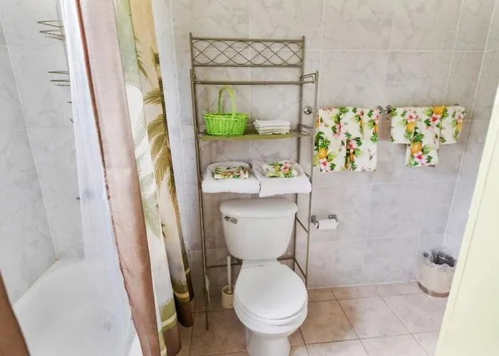 Yanceylargo Estate - Newly Renovated 7br Beautiful Two-story W Gorgeous Mountain View Montego Bay