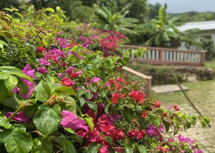 Villa Yanceylargo Estate - Newly Renovated 7br Beautiful Two-story W Gorgeous Mountain View *