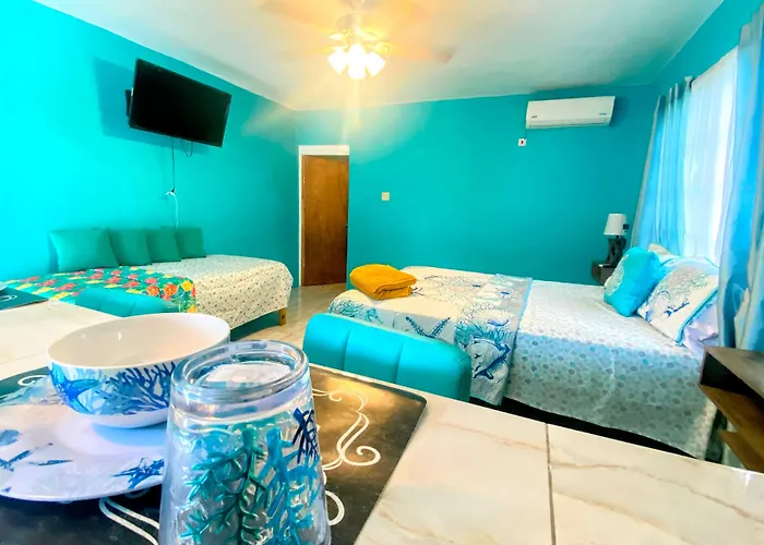 Villa Yanceylargo Estate - Newly Renovated 7br Beautiful Two-story W Gorgeous Mountain View Montego Bay
